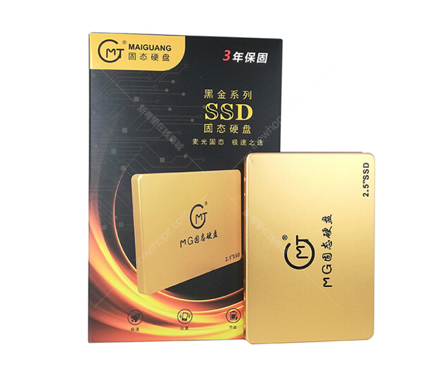 MG SSD120G 3.png