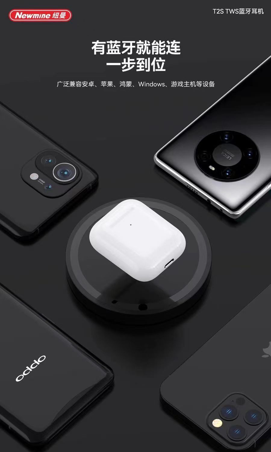 紐曼T2S-06.jpg