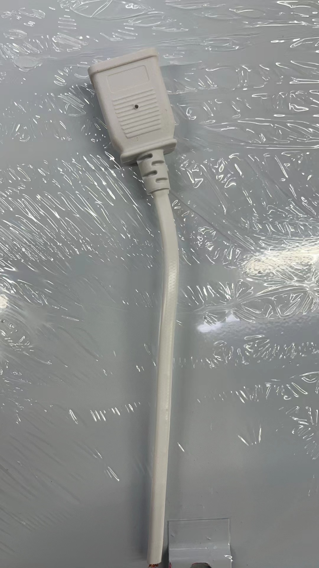 母頭22.jpg