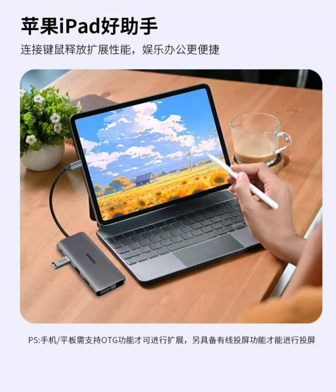 LX0801PRO-015.jpg