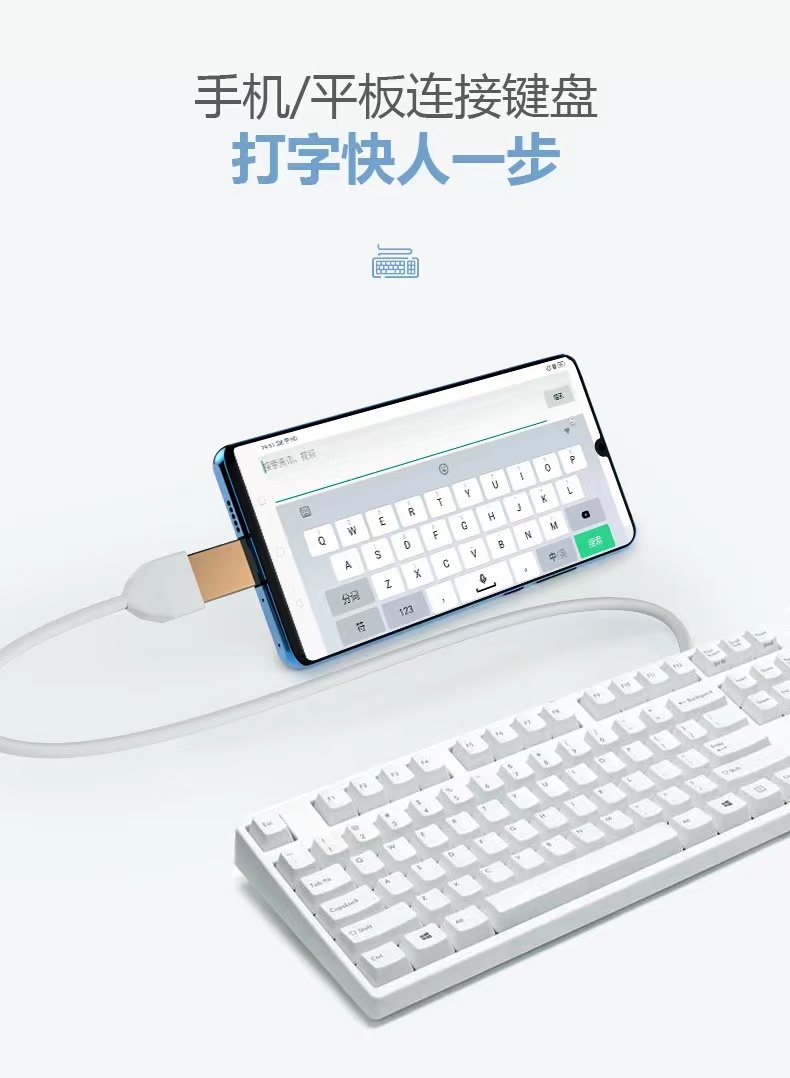 T12.jpg