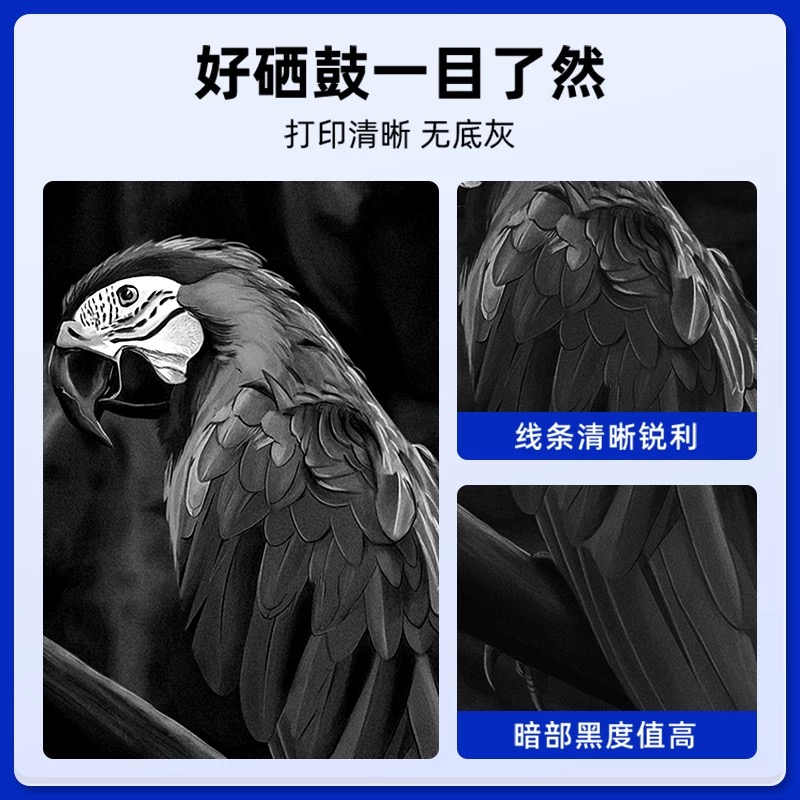 微信圖片_20250401102949.jpg