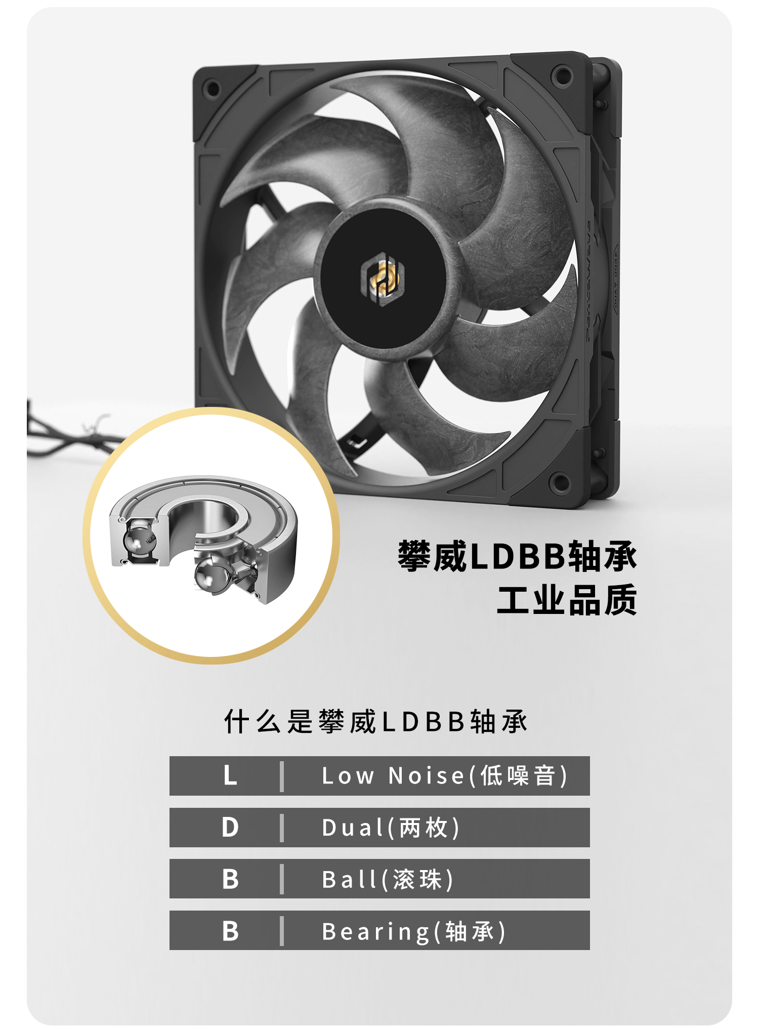 LP14E_05.jpg