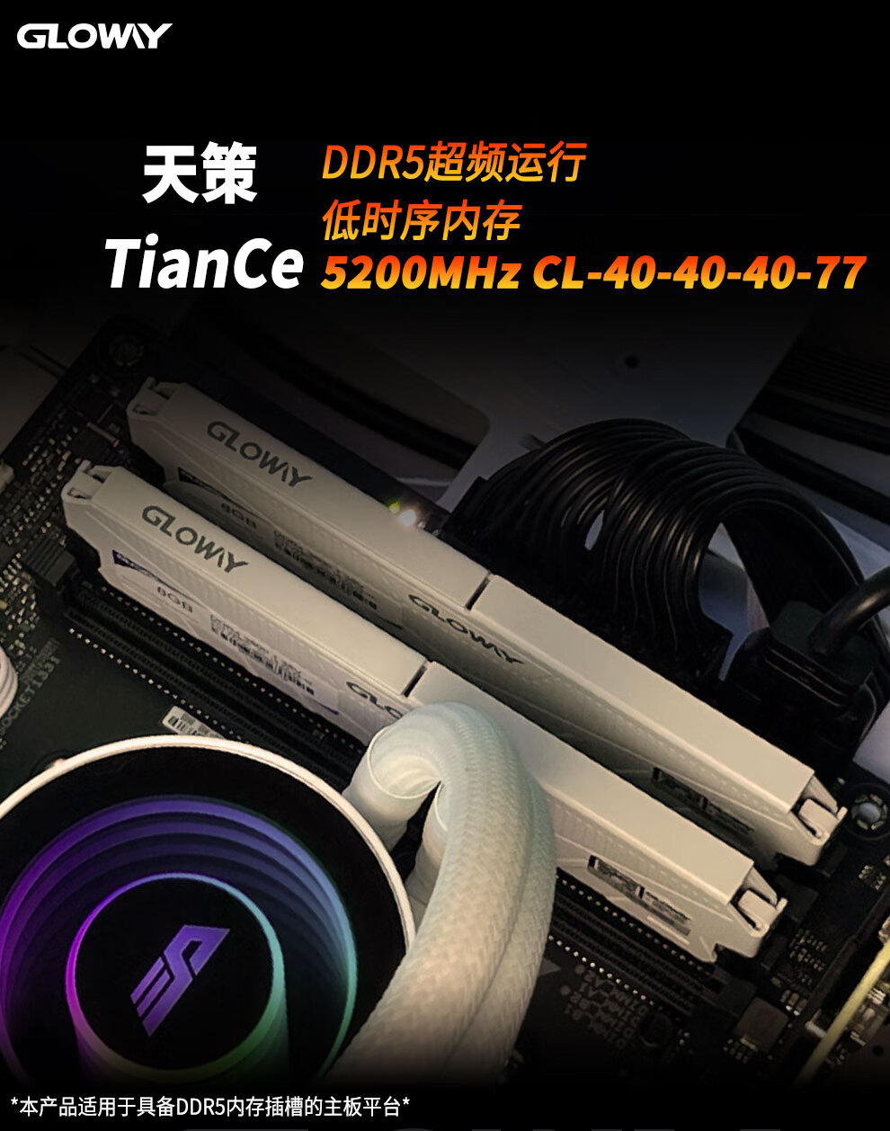 57911f93d5fbe05c.jpg