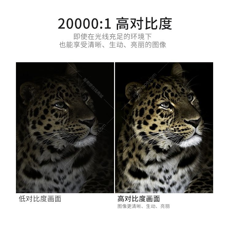 1636101462109287.jpg